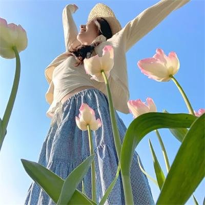 安德鲁和威利冒险记